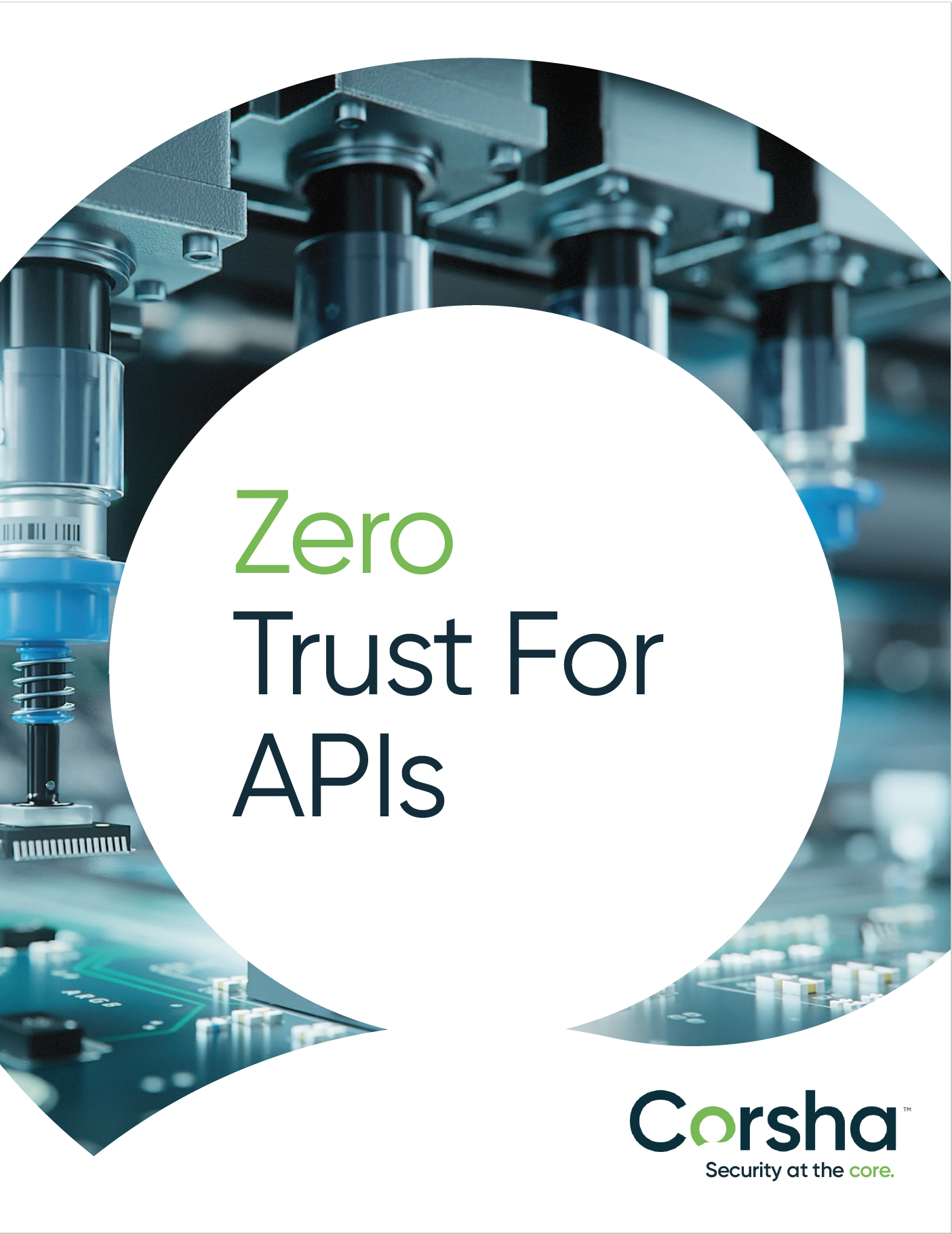 Zero Trust for APIs