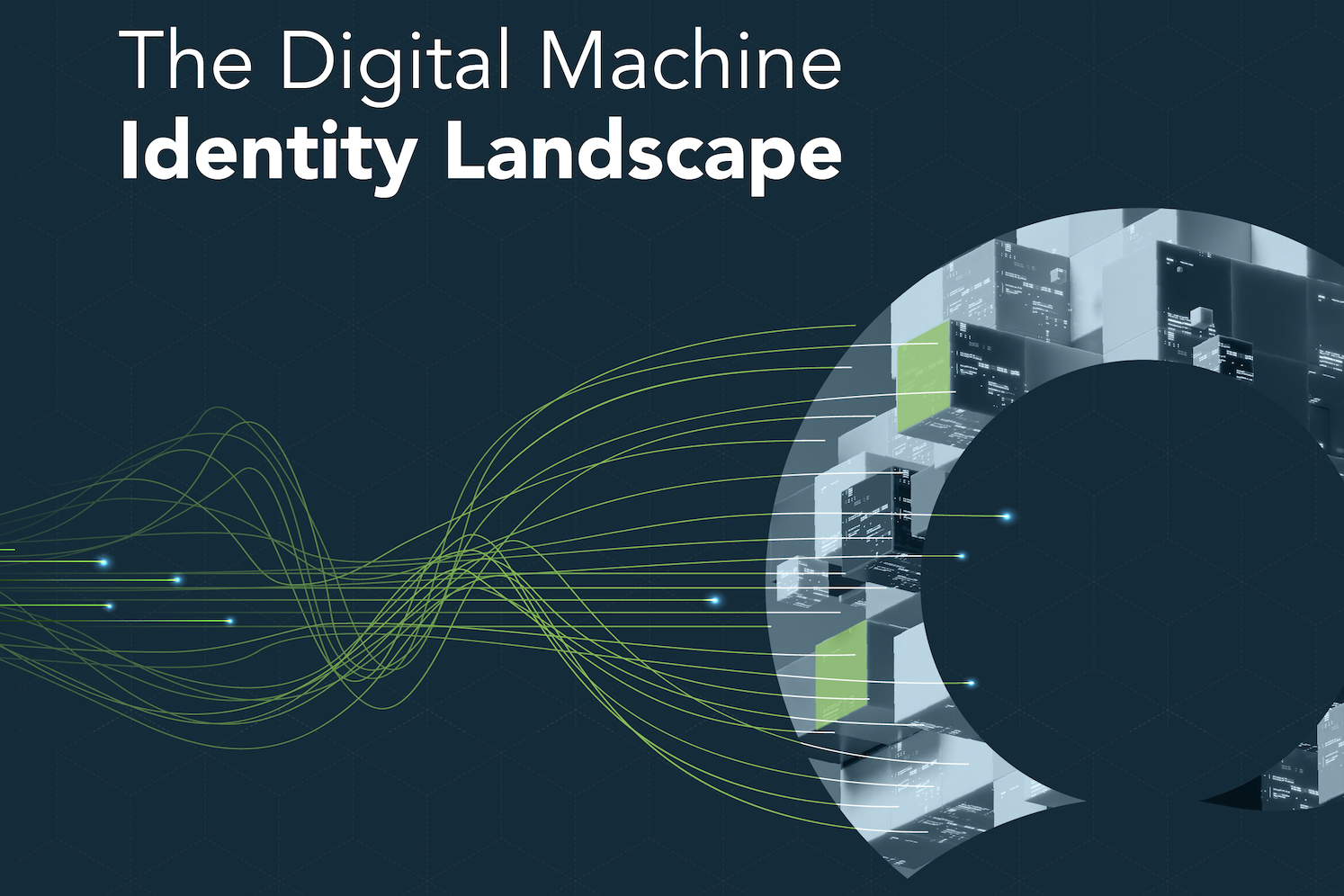 Infographic: The Digital Identity Landscape